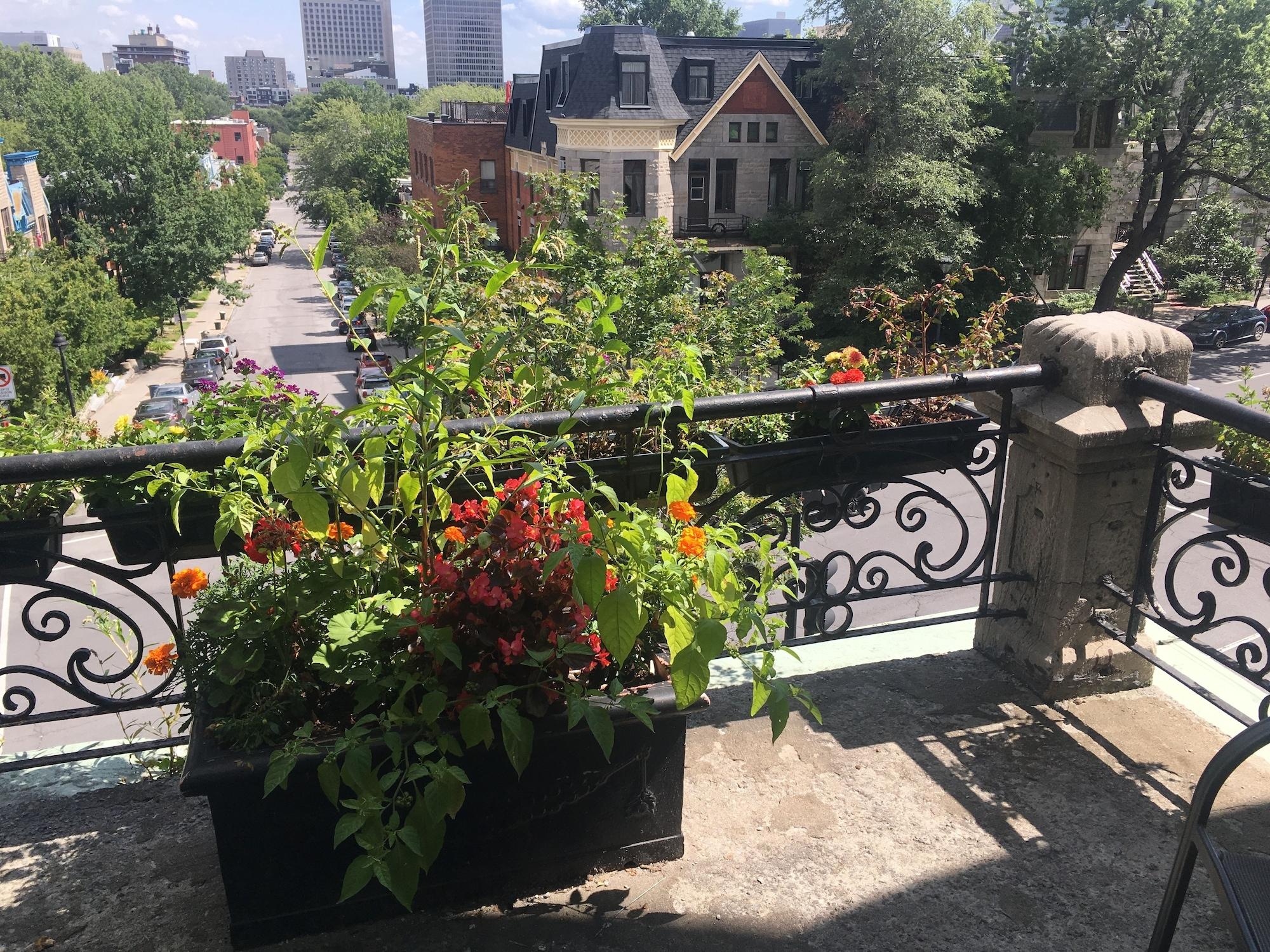 Hotel De Paris Montréal